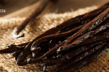 Indonesian Vanilla Exporter(1)