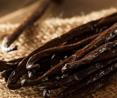 Indonesian Vanilla Exporter(1)