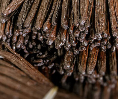 Vanilla Beans Supplier Indonesia(1)
