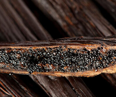 Wholesale Vanilla Beans Bulk Orders from Indonesia(1)