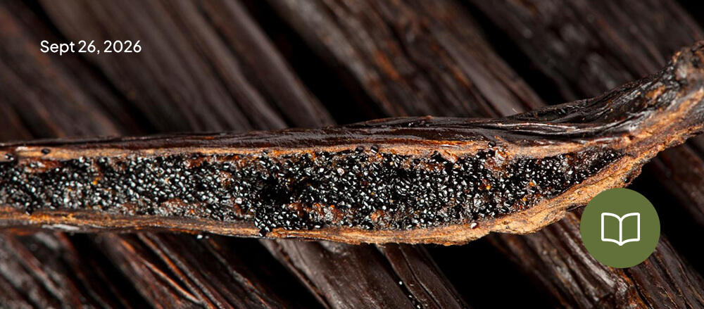 Wholesale Vanilla Beans Bulk Orders from Indonesia(1)